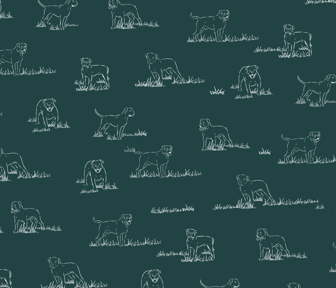 Boerboel design